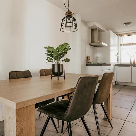 House In 445 *