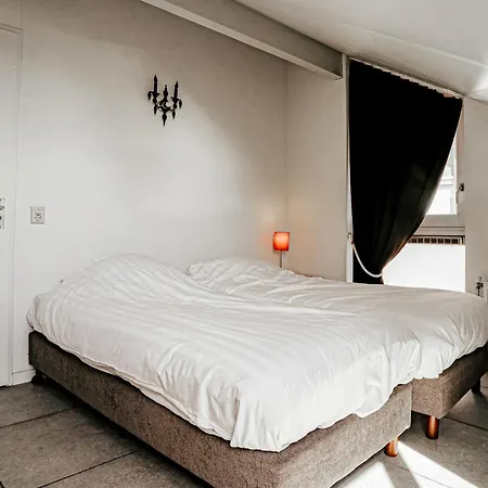 House In 445 *